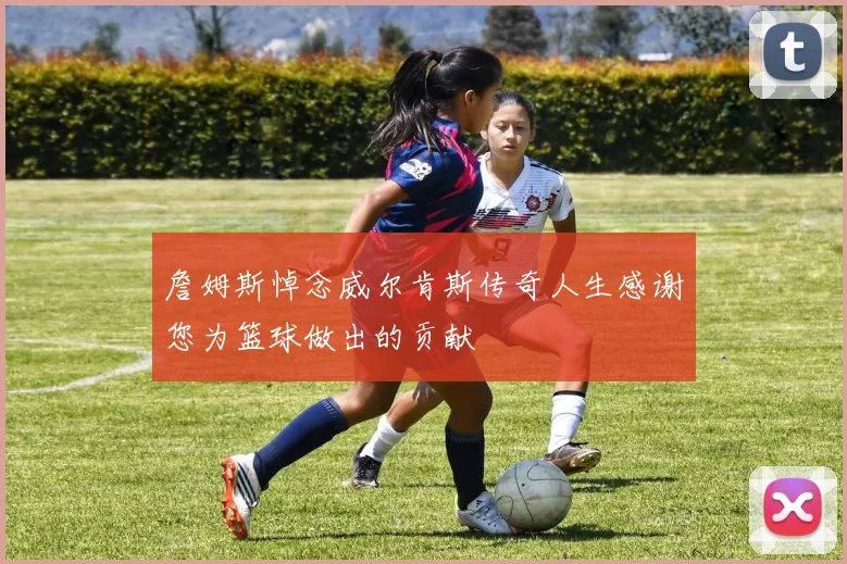 詹姆斯悼念威尔肯斯传奇人生感谢您为篮球做出的贡献